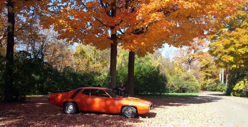 Illustration for article titled #cddcphotocontest FALLow up. FALL!!!!!!